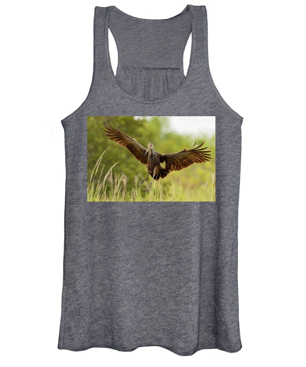 Limpkin Women's Tank Top featuring the photograph Setting Down by RD Allen