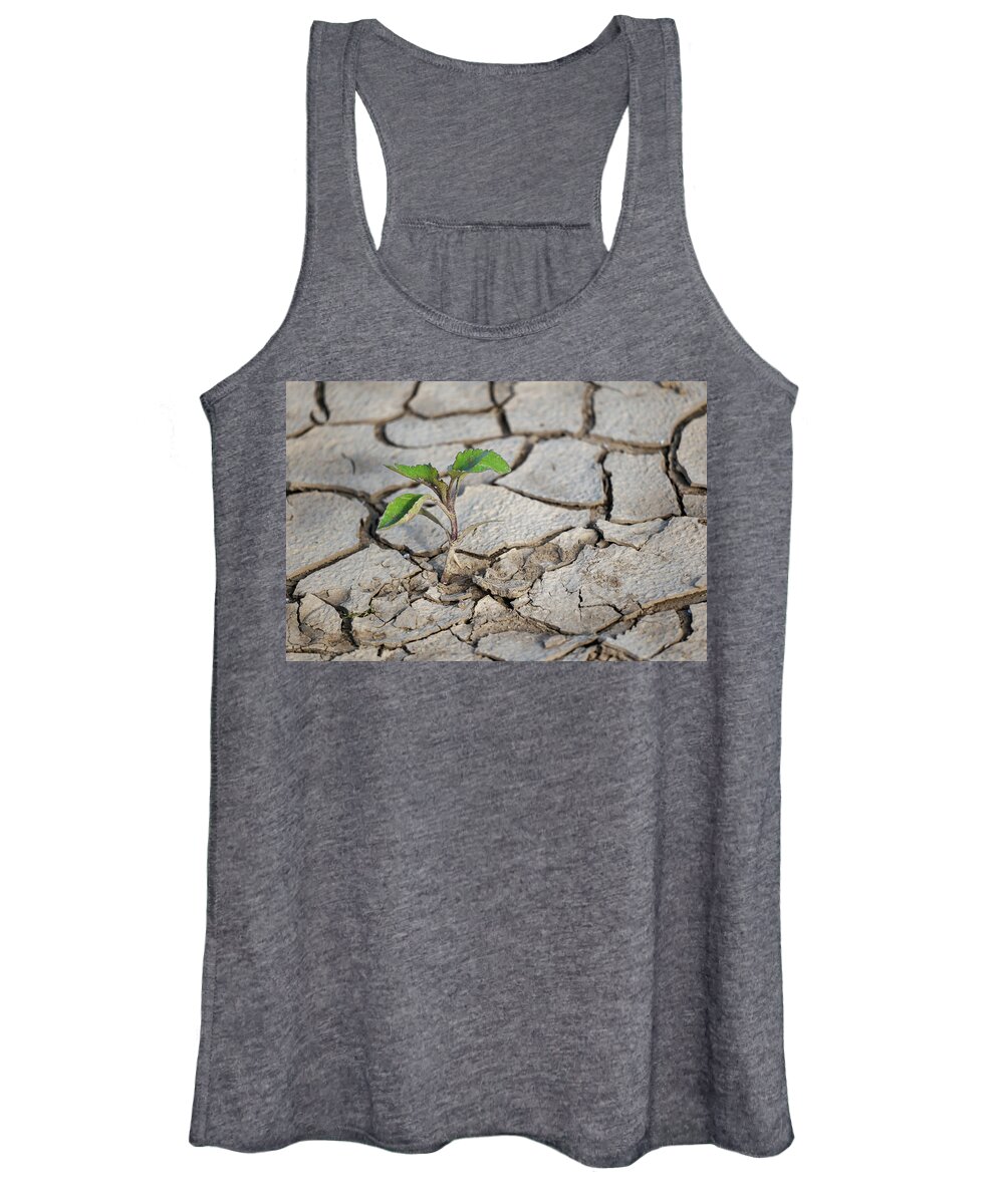 Plant Women's Tank Top featuring the photograph Single Plant In Dry Ground by Artur Bogacki