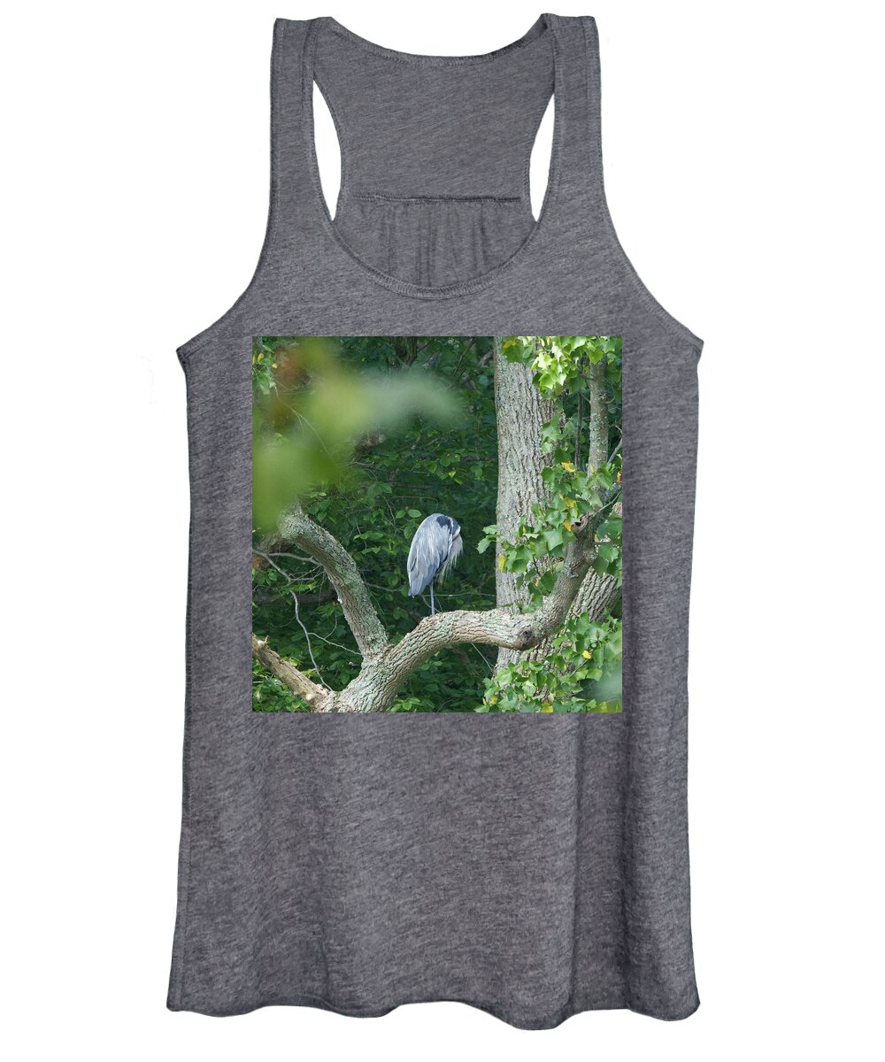 Wildlife Women's Tank Top featuring the photograph Sleeping Beauty by Paul Ross