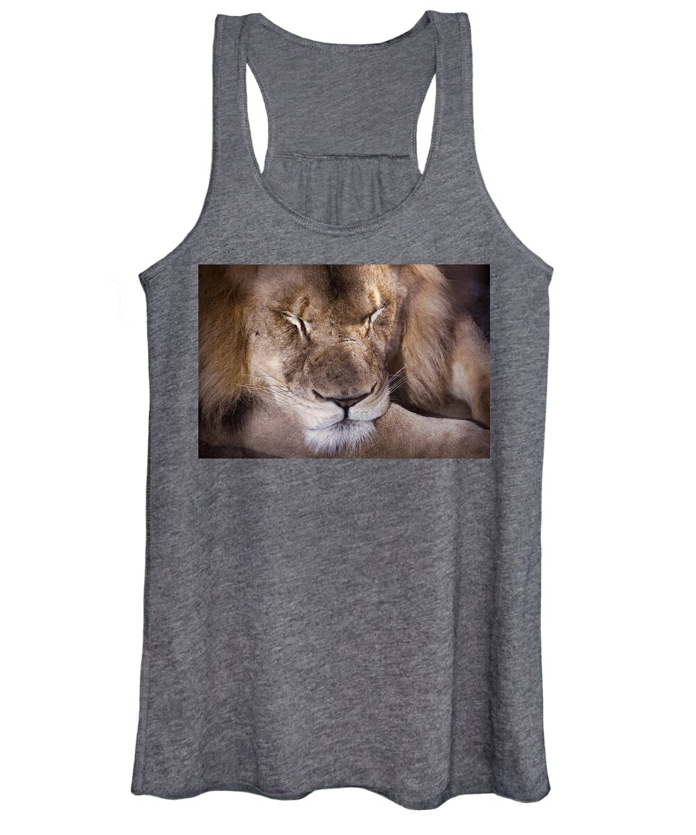 Lion Women's Tank Top featuring the photograph Sleeping Lion by Jim Signorelli