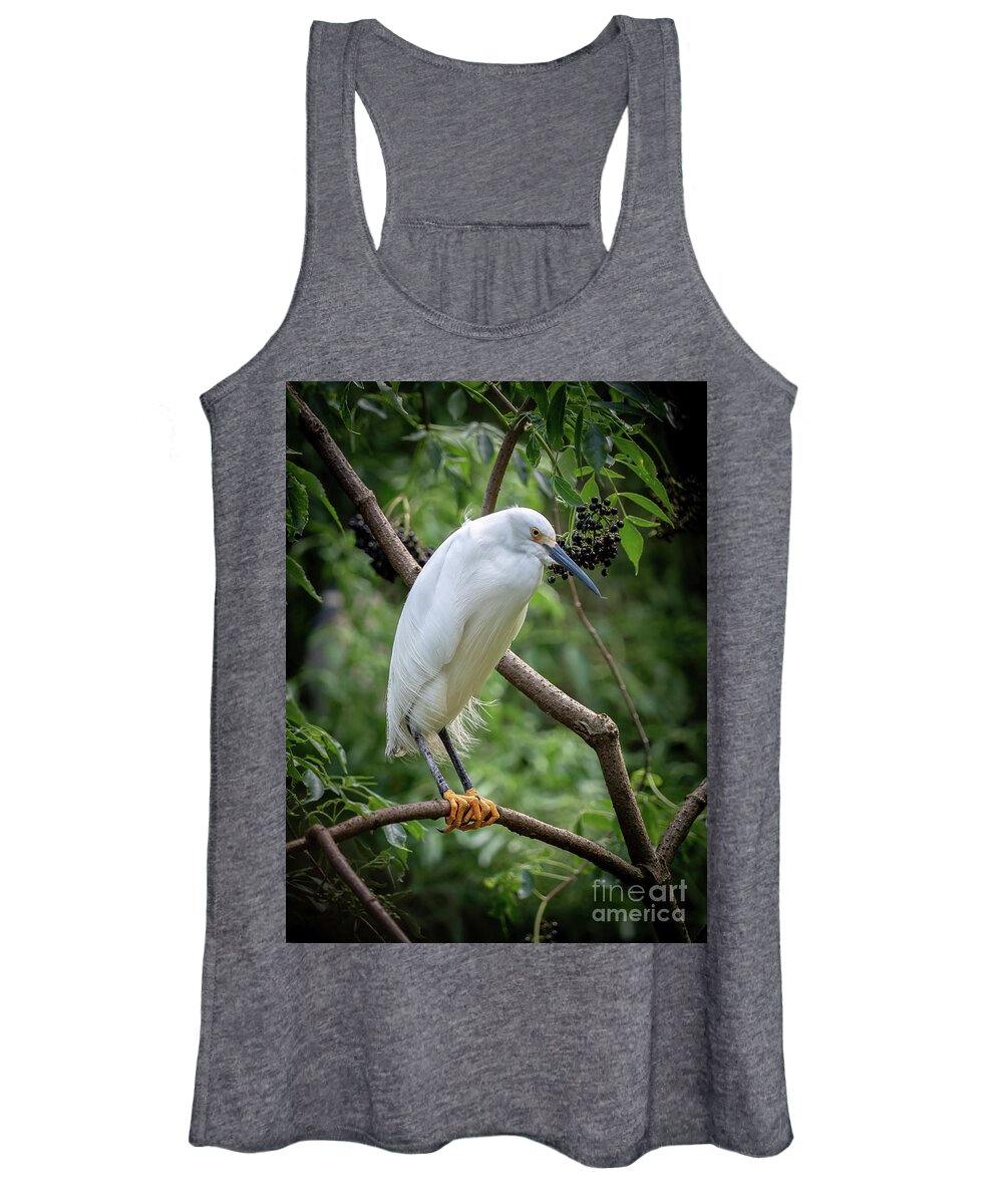 Snowy Egret Women's Tank Top featuring the photograph Snowy Egret by Scott and Dixie Wiley