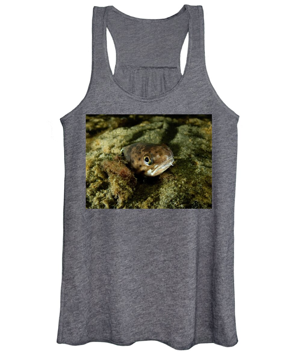 Fish Women's Tank Top featuring the photograph Spotted Hake by Brian Weber