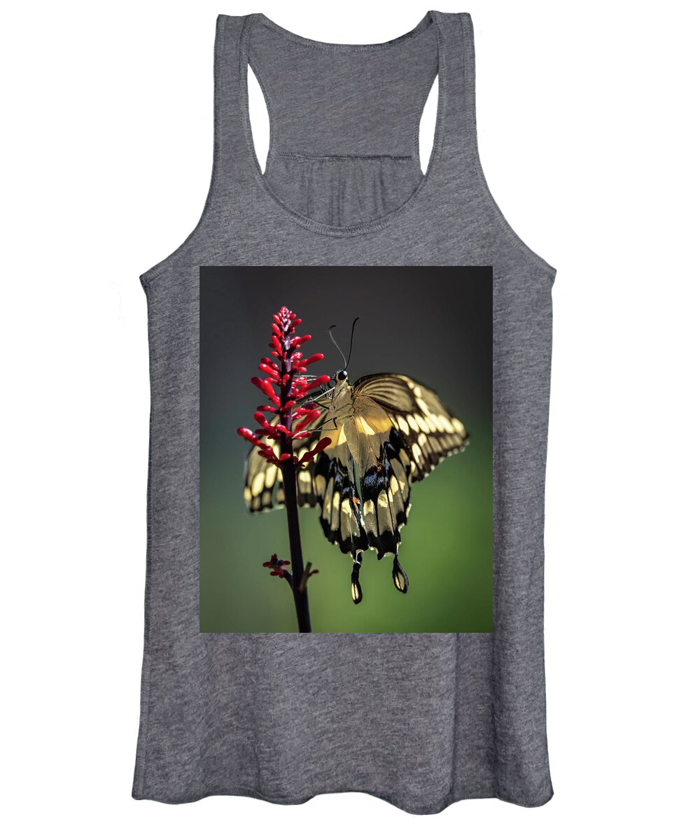 Butterfly Women's Tank Top featuring the photograph Swallowtail in the Summer by Laura Hedien