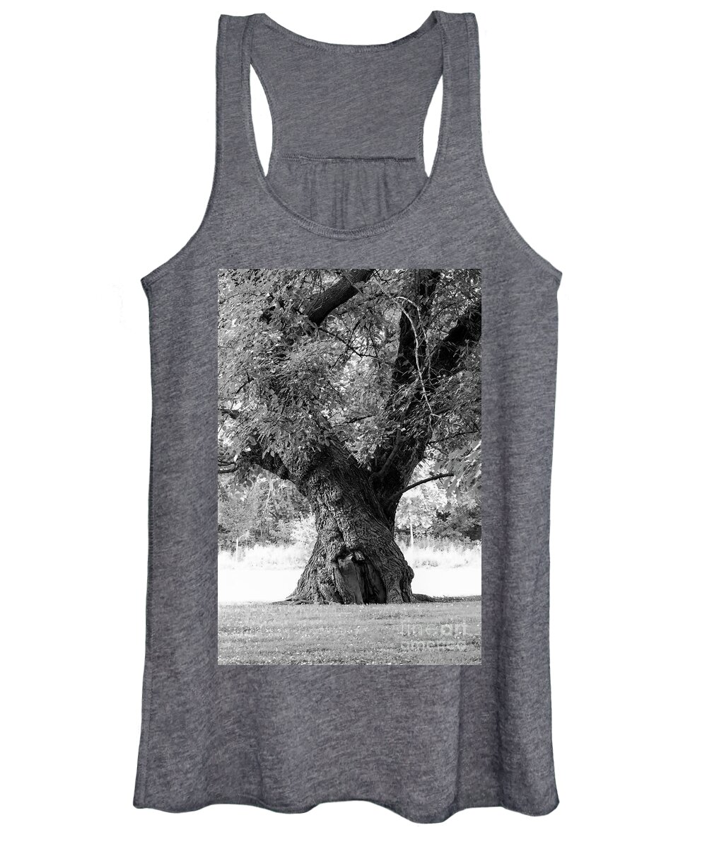 Trunk Women's Tank Top featuring the photograph Tall and Twisted by Bentley Davis
