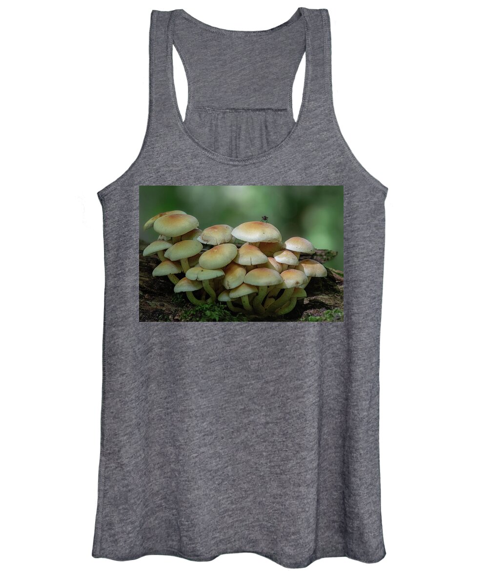Insect Women's Tank Top featuring the photograph The lone insect by Gareth Parkes
