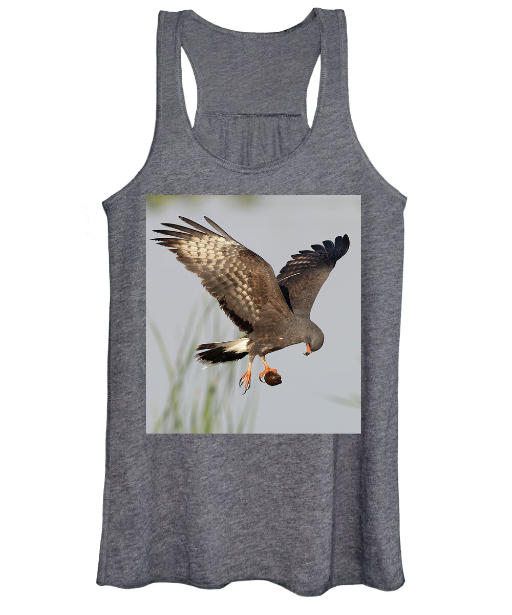 Snail Kite Women's Tank Top featuring the photograph The Question by RD Allen