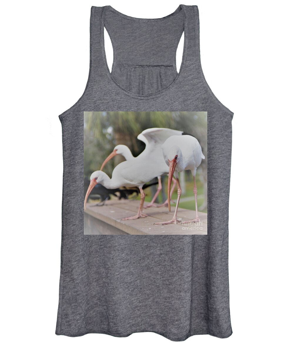 Three Women's Tank Top featuring the photograph Three Contemplating Ibis Birds by Philip And Robbie Bracco