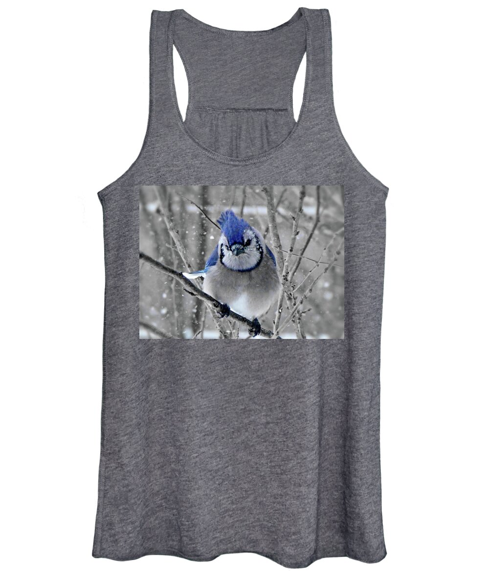 Blue Jay Women's Tank Top featuring the photograph Tired of the Snow by Lyuba Filatova