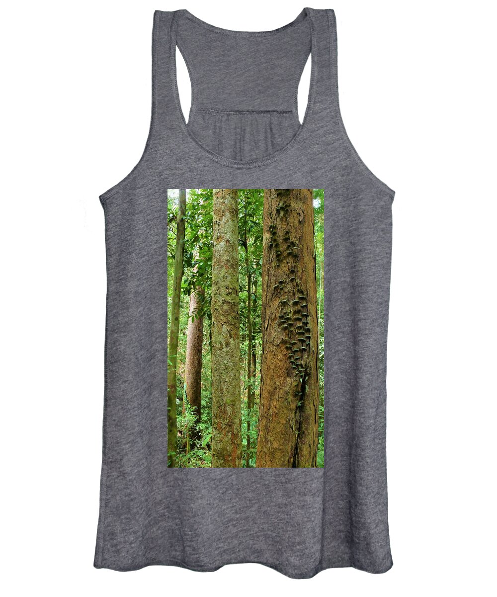 Tropical Forest Women's Tank Top featuring the photograph Tropical Forest 1 by Robert Bociaga