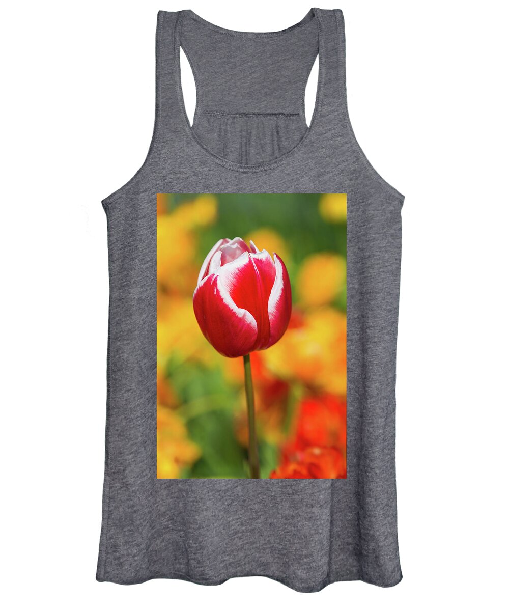 Europe Women's Tank Top featuring the photograph Tulip by Jim Miller