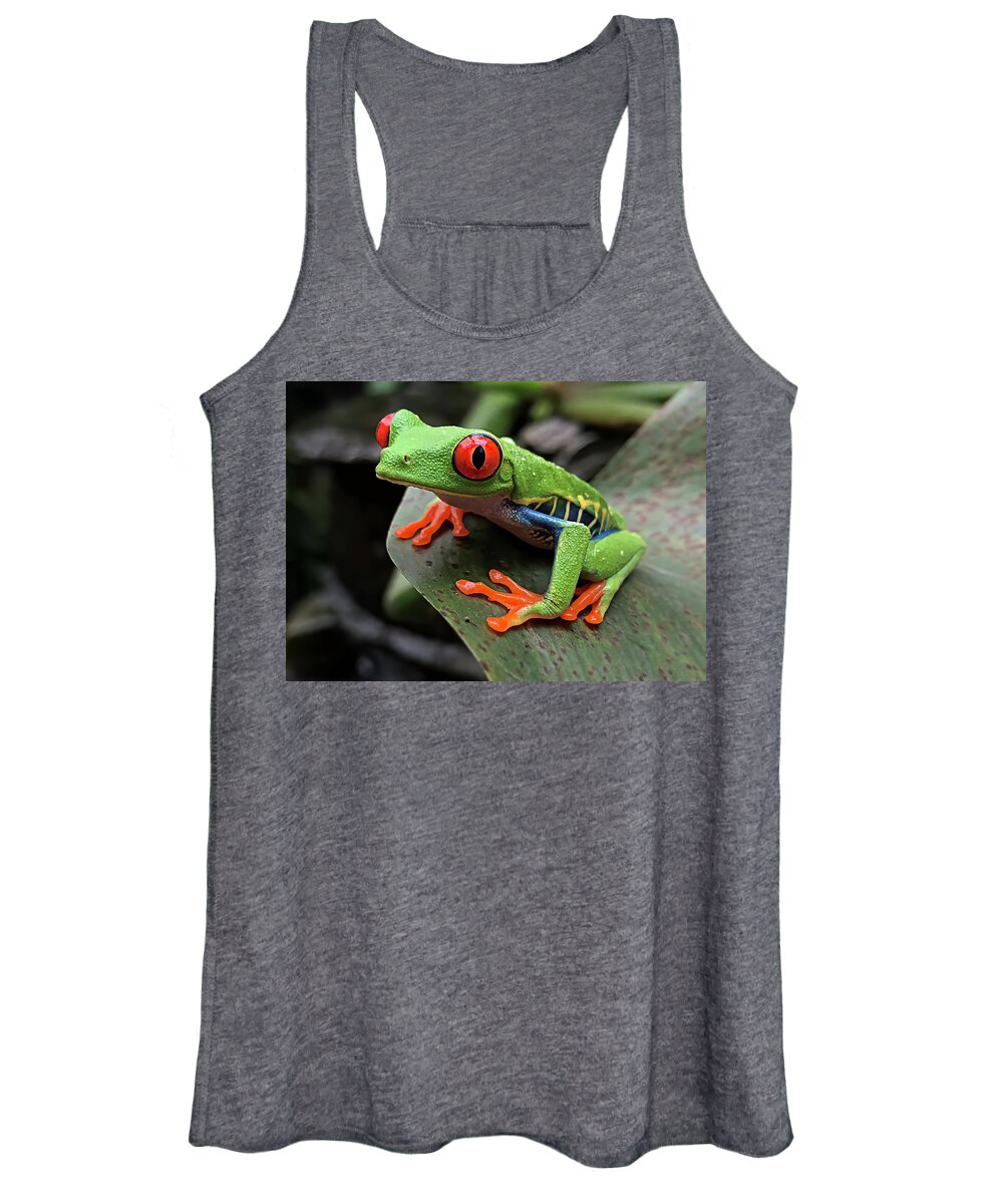Frog Women's Tank Top featuring the photograph Up Close and Personal - Red-Eyed Tree Frog by Teresa Wilson
