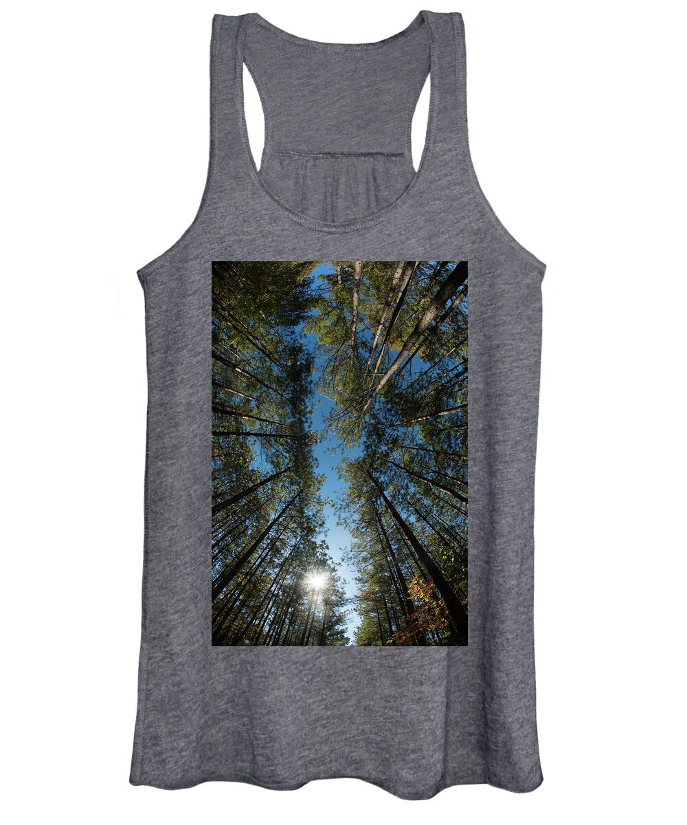  North Carolina Women's Tank Top featuring the photograph Up, Pine Trees with a dash of Fall Color, North Carolina Uwharrie National Forest, Photograph, Print by Eric Abernethy