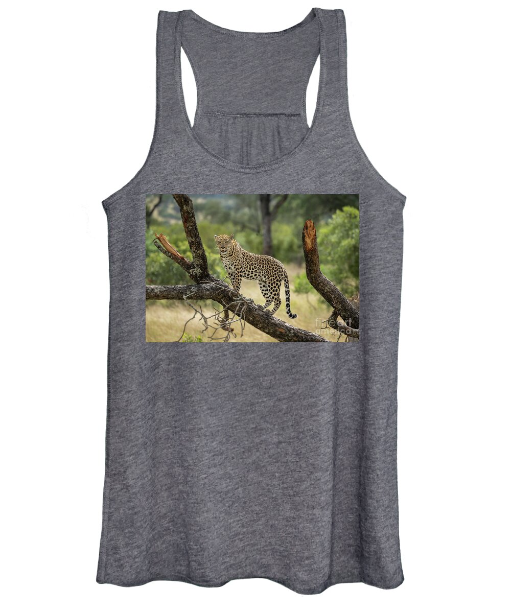 Wildlife Women's Tank Top featuring the photograph Upwardly Mobile - South Africa by Sandra Bronstein