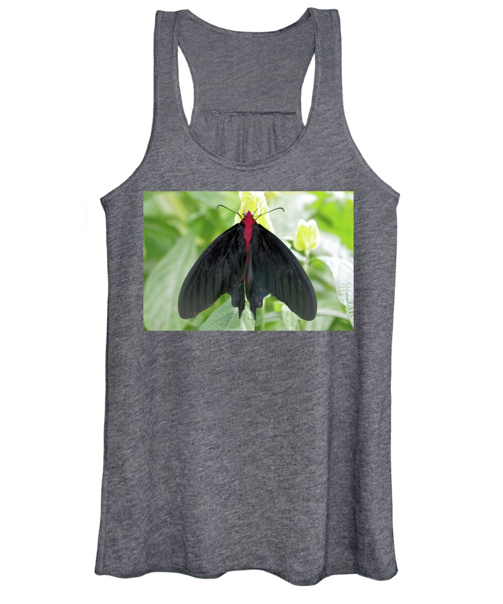 Vampire Women's Tank Top featuring the photograph Vampire Butterfly by Pour Your heART Out Artworks