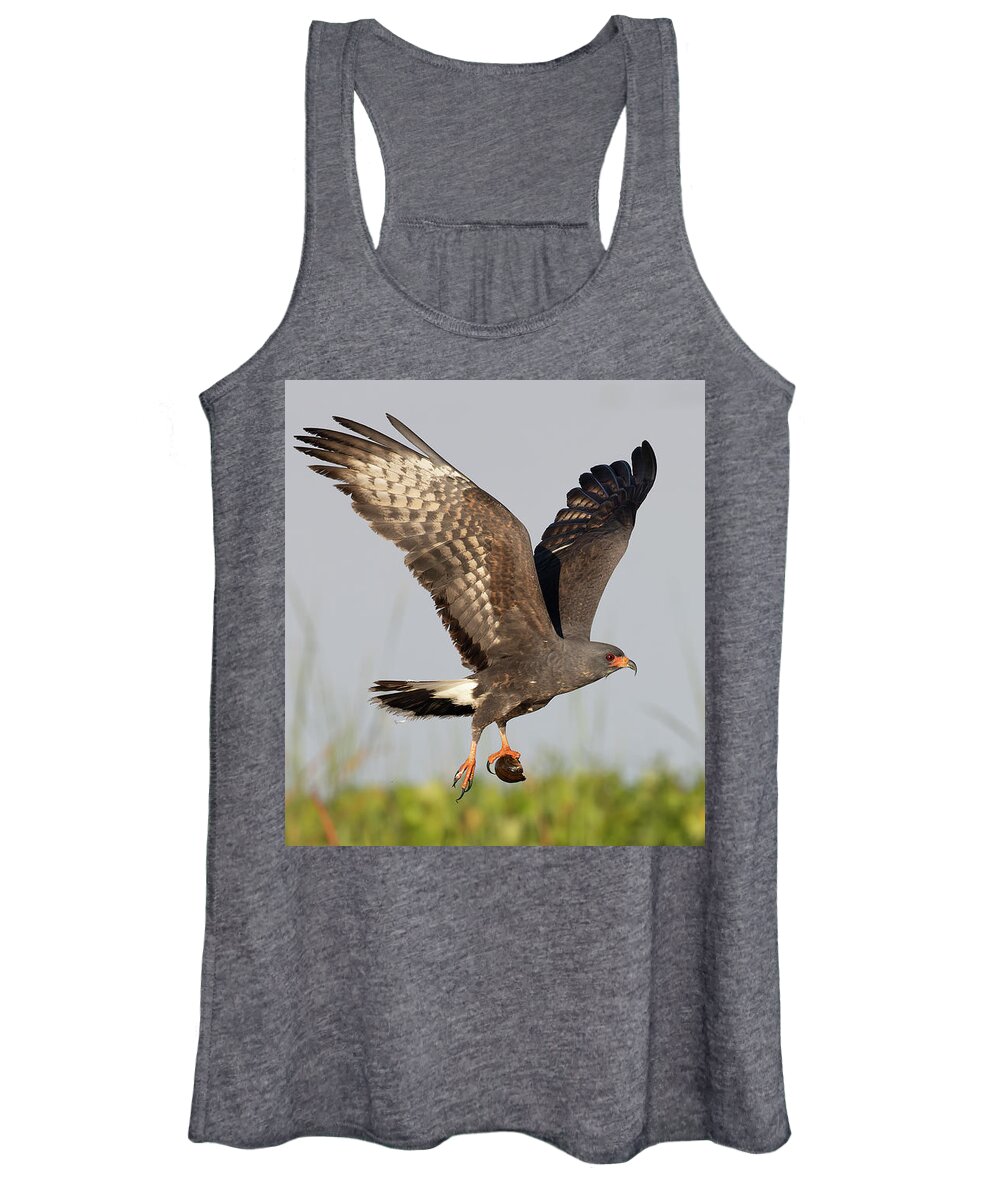 Snail Kite Women's Tank Top featuring the photograph Victory by RD Allen