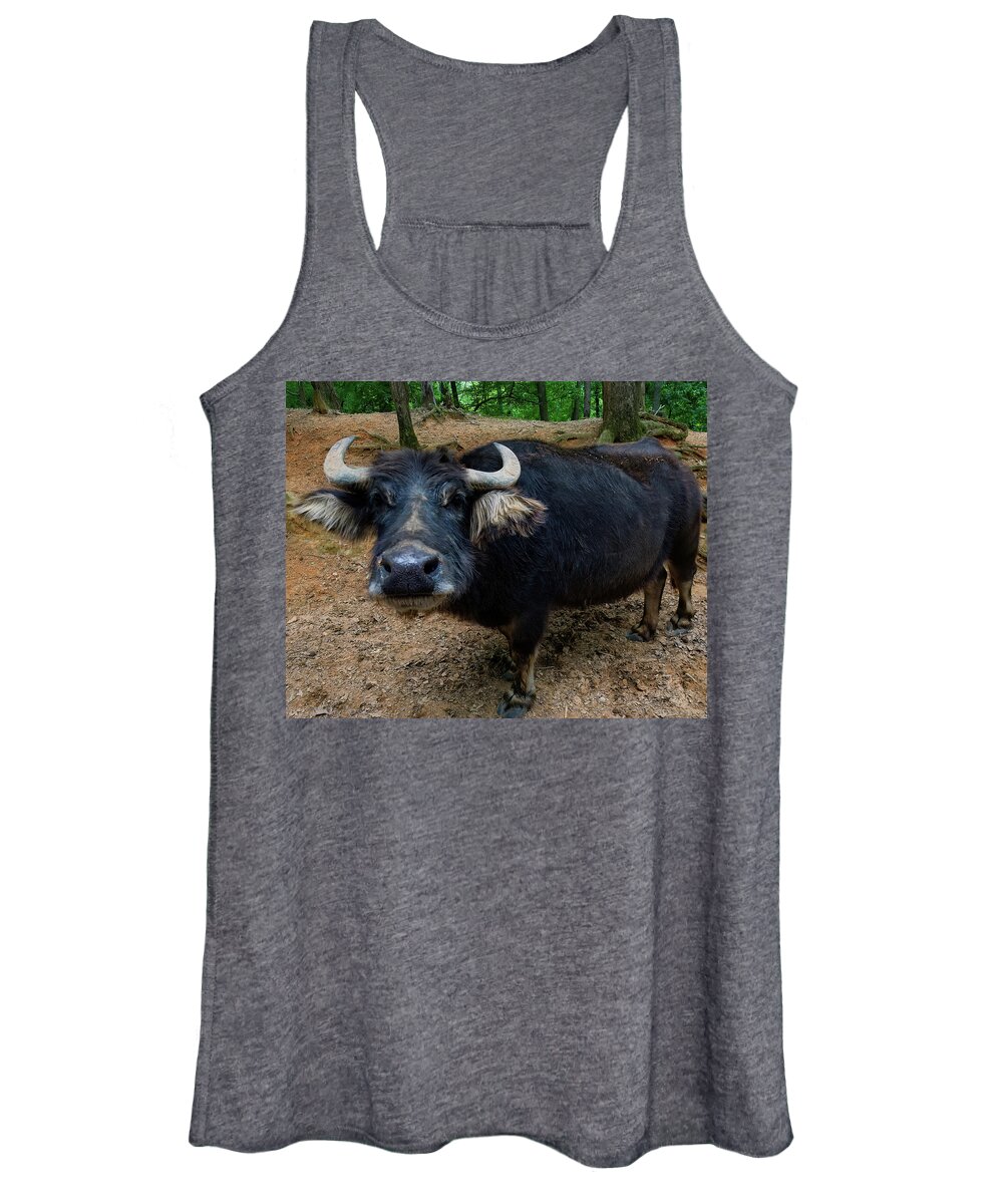Water Buffalo Women's Tank Top featuring the photograph Water Buffalo On Dry Land by Flees Photos