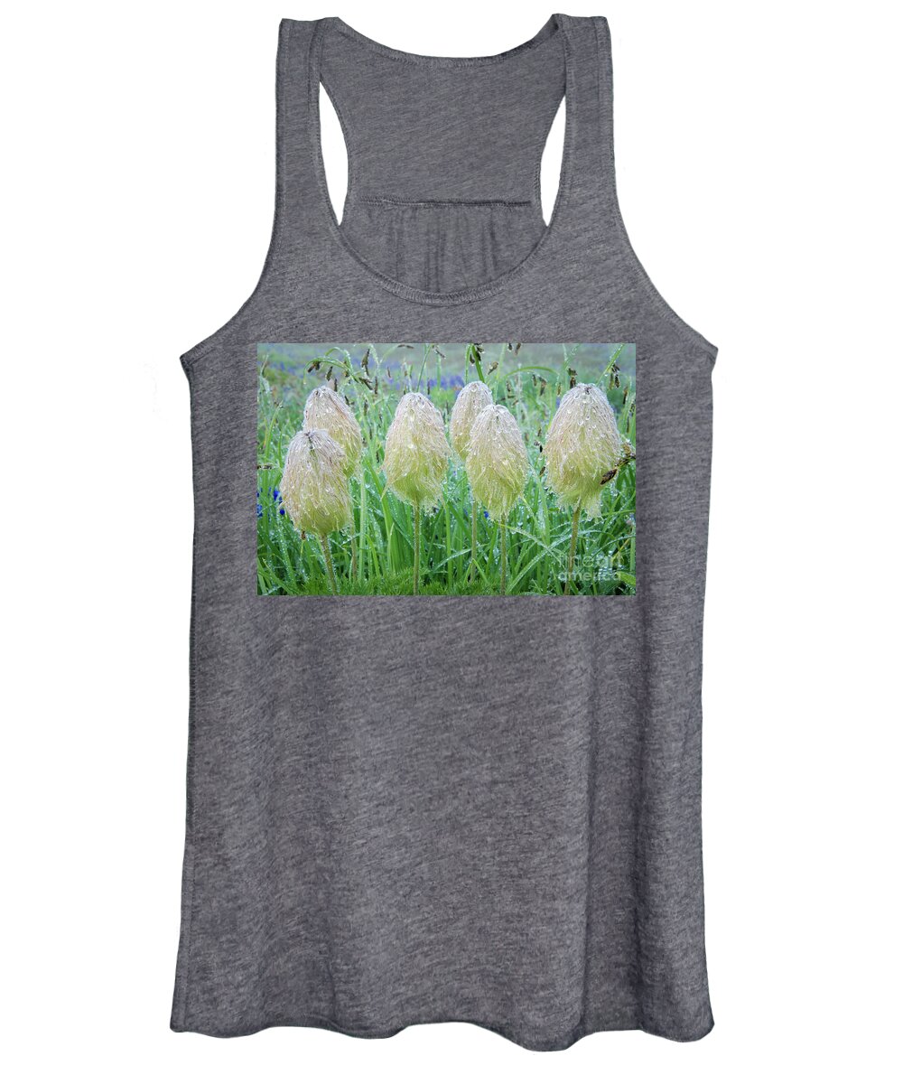 Plant Women's Tank Top featuring the photograph Western Anemone Wildflowers in Morning Dew by Nancy Gleason
