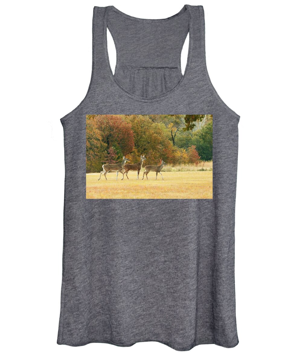 Nature Women's Tank Top featuring the photograph White-tail Deer in Autumn Field by Sheila Brown