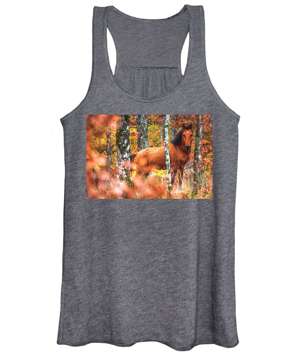 Animals Women's Tank Top featuring the photograph Wild by Evgeni Dinev