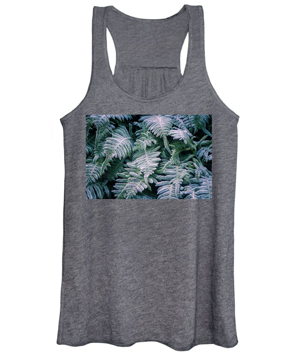 Frost Women's Tank Top featuring the photograph Winter Ferns by Naomi Maya