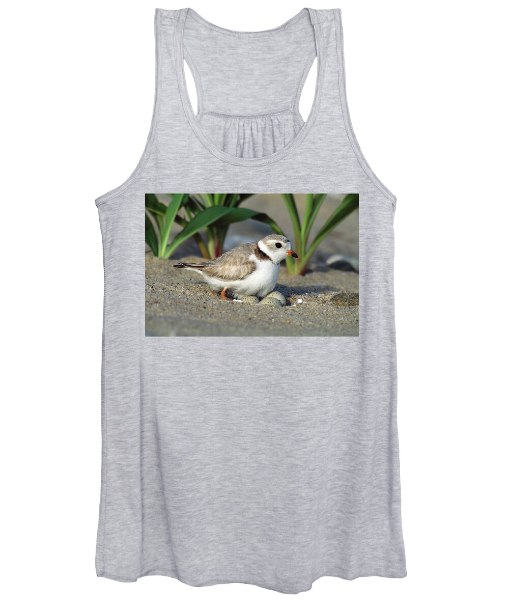 Mp Women's Tank Top featuring the photograph Piping Plover Charadrius Melodus by Tom Vezo