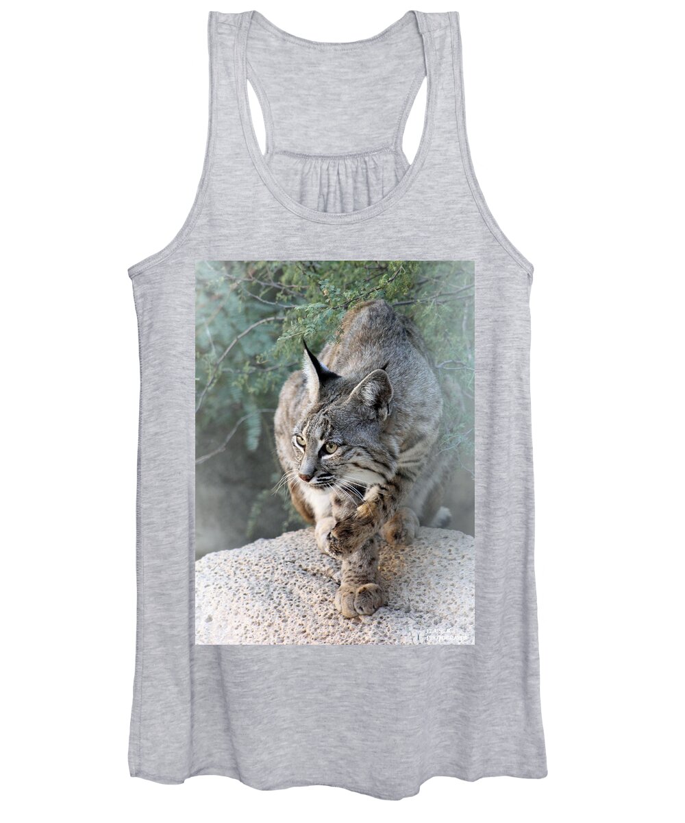 Bobcat Women's Tank Top featuring the photograph I Was Grooming by Elaine Malott