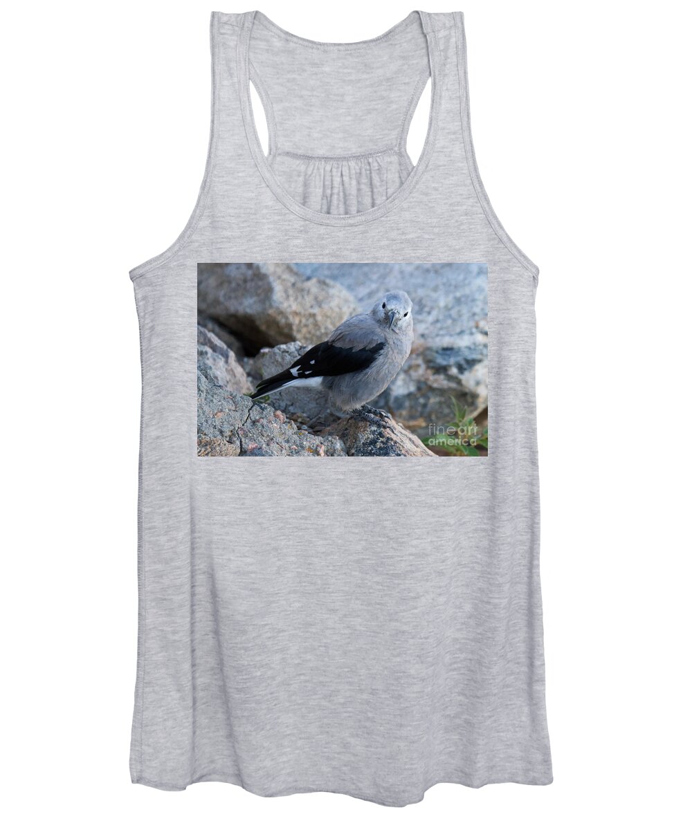 Birds Women's Tank Top featuring the photograph Clarks Nutcracker at Rainbow Curve #2 by Fred Stearns