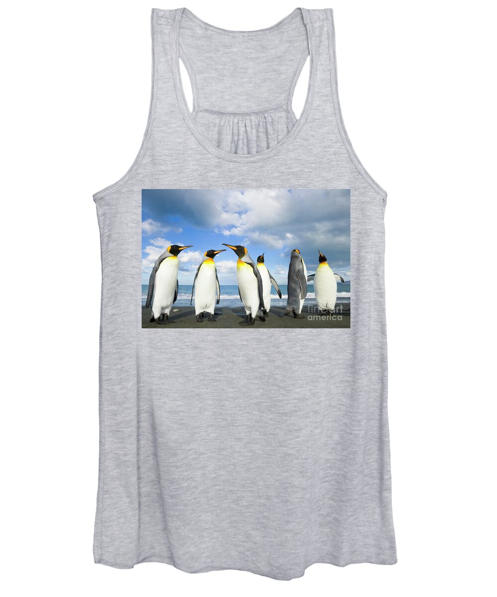 00345362 Women's Tank Top featuring the photograph King Penguins in Gold Harbour by Yva Momatiuk John Eastcott
