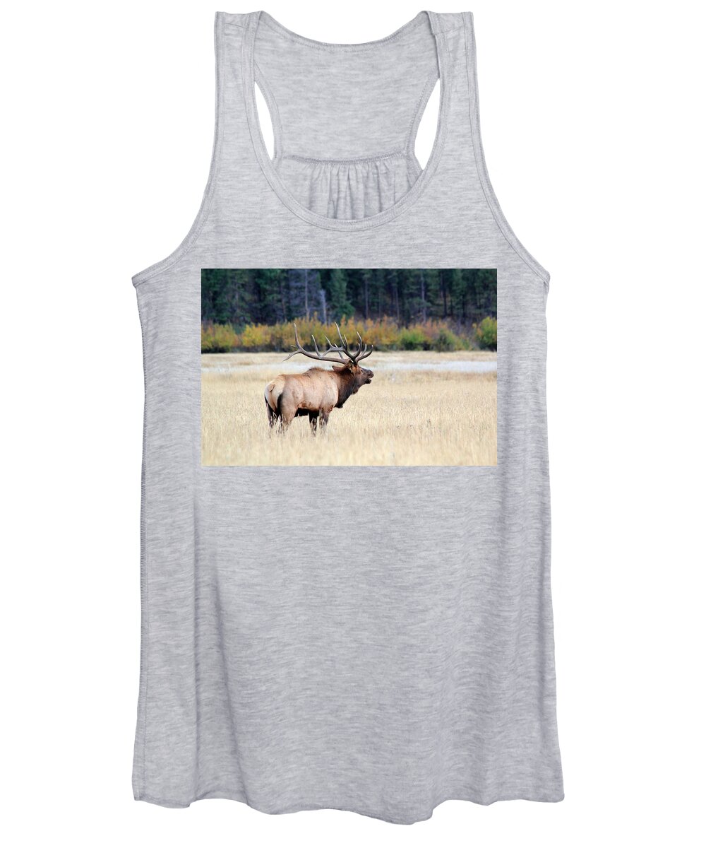 Bull Women's Tank Top featuring the photograph Big Colorado Bull by Shane Bechler