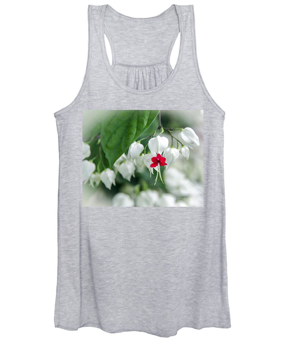 Clerodendrum Thomsoniae Women's Tank Top featuring the photograph Bleeding Heart Red by Carolyn Marshall