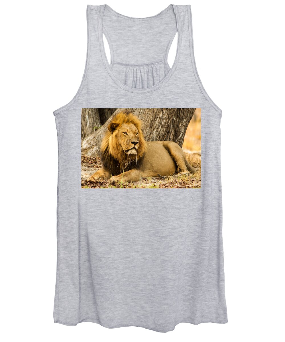 Africa Women's Tank Top featuring the photograph Boss by Alistair Lyne