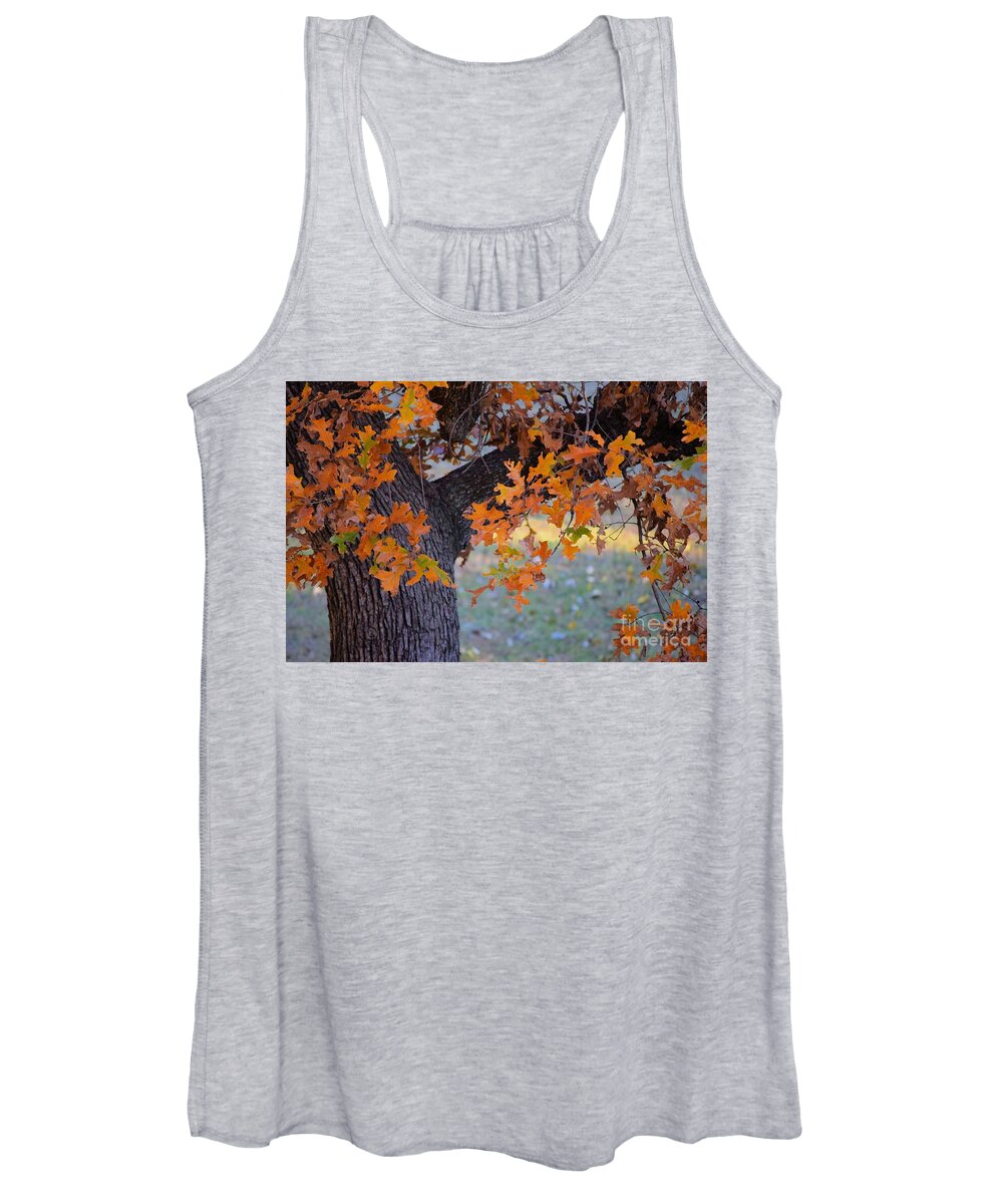 Autumn Women's Tank Top featuring the photograph Bur Oak Tree in Autumn by Janette Boyd