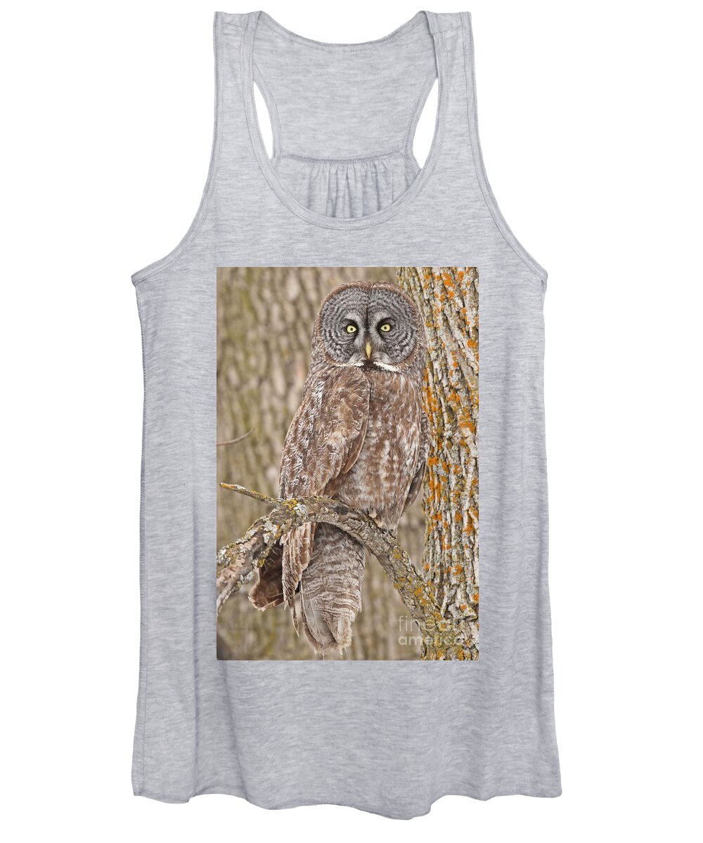 Great Grey Owl Women's Tank Top featuring the photograph Camouflage-an owl's best friend by Heather King