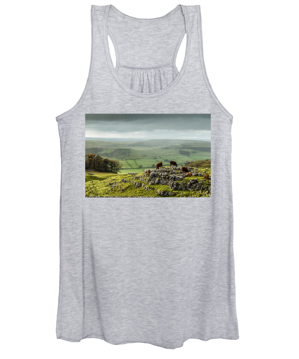 Animals Women's Tank Top featuring the photograph Cattle in the Yorkshire Dales by Sue Leonard