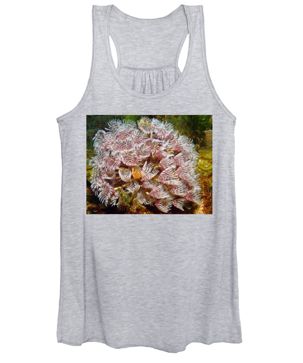 Featherduster With An Attitude Women's Tank Top featuring the photograph Featherduster with an Attitude by Jean Noren
