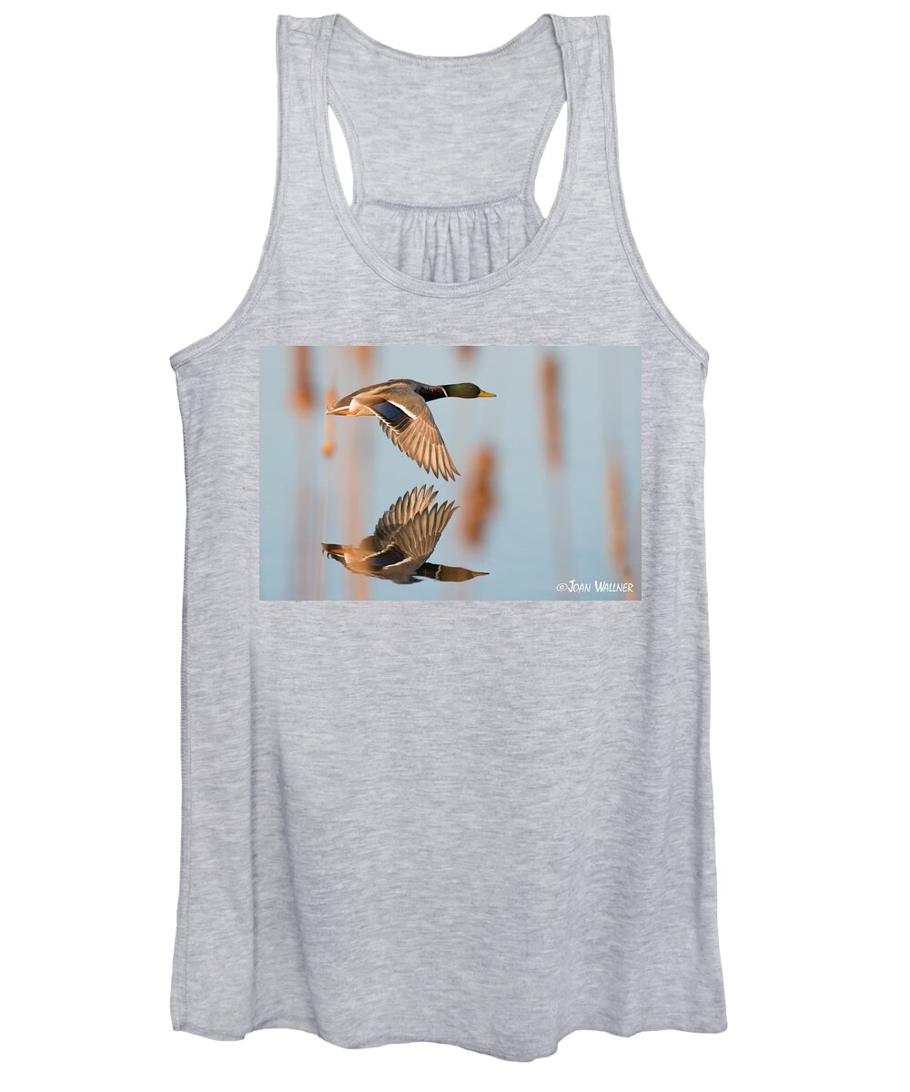 Birds Women's Tank Top featuring the photograph Skimming the Pond through Cattails by Joan Wallner