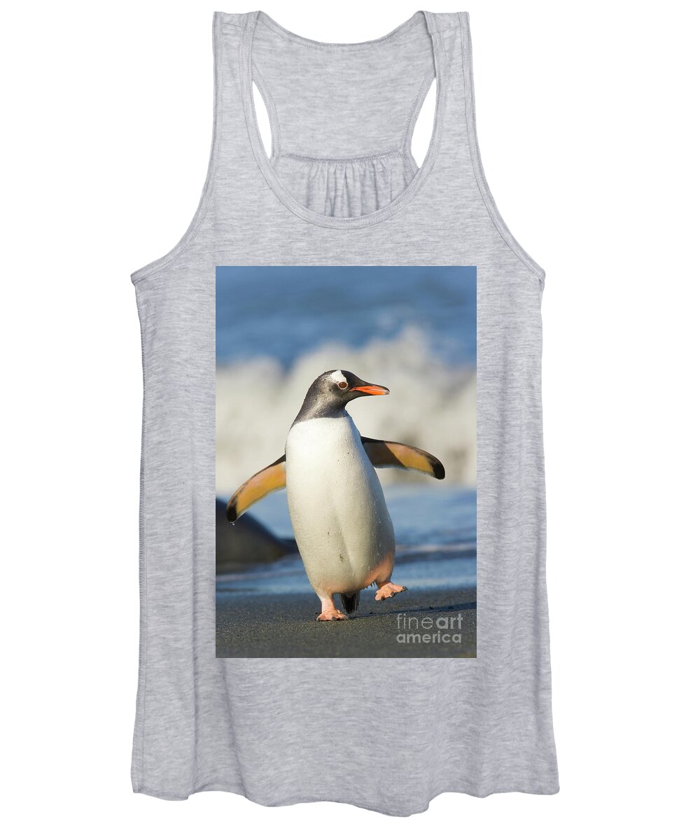 00345365 Women's Tank Top featuring the photograph Gentoo Penguin Waddling Cooper Bay by Yva Momatiuk and John Eastcott