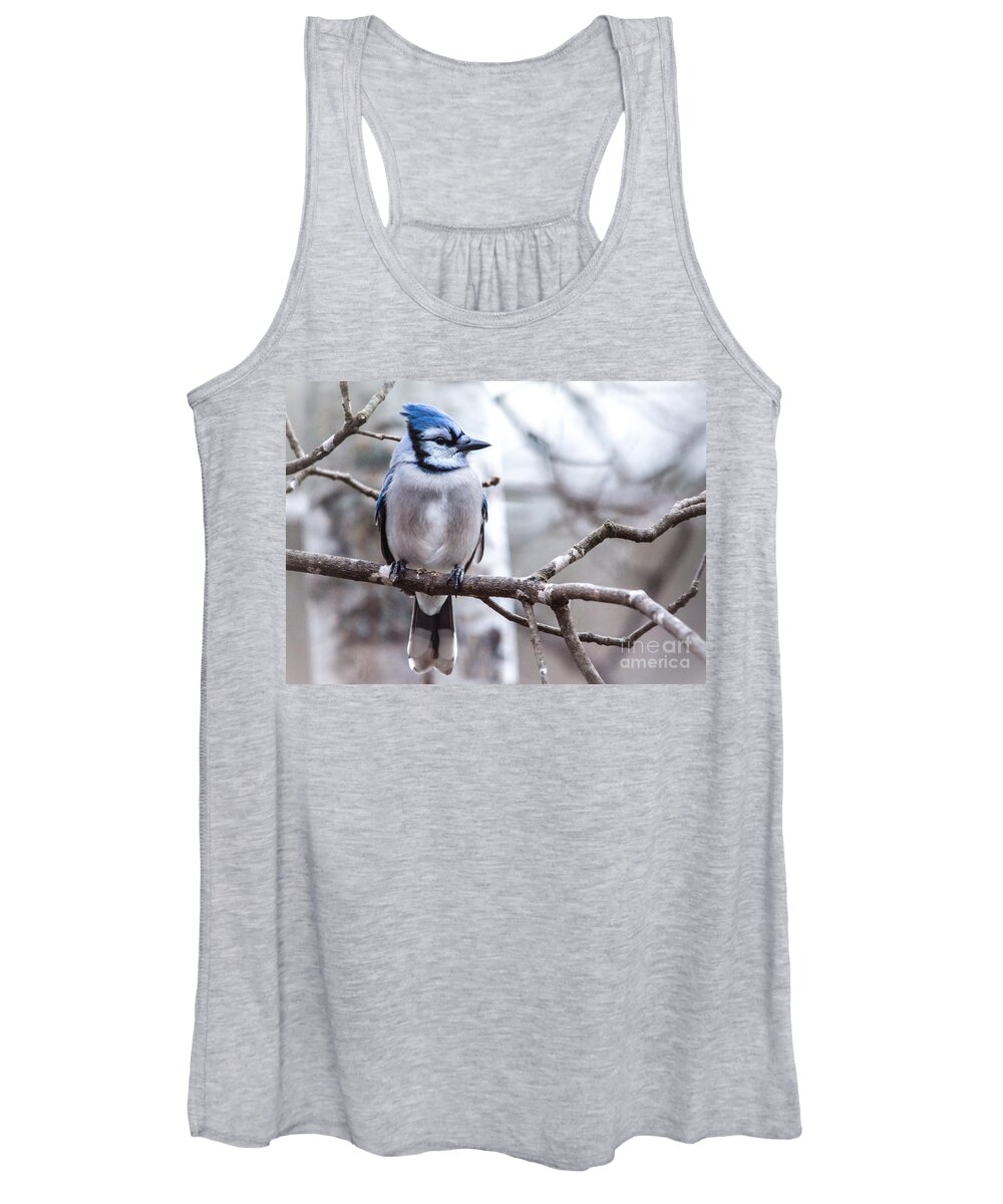  Women's Tank Top featuring the photograph Gorgeous Blue Jay by Cheryl Baxter