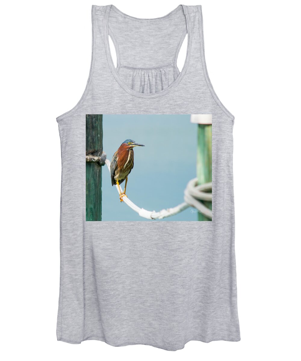 Susan Molnar Women's Tank Top featuring the photograph Green Heron IV by Susan Molnar