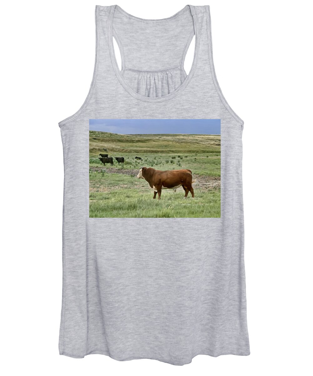 Bull Women's Tank Top featuring the photograph Hereford Bull by Alan Hutchins
