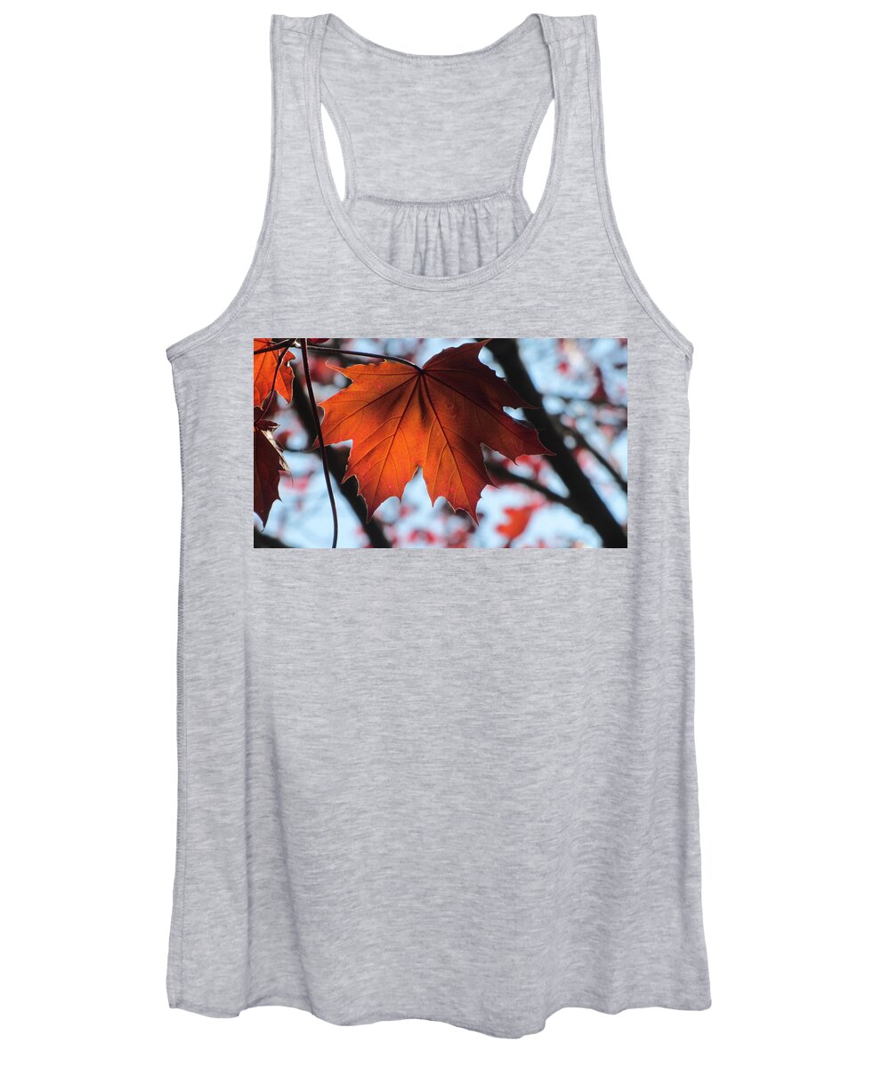 Leaf Women's Tank Top featuring the photograph Leaves Backlit 2 by Anita Burgermeister