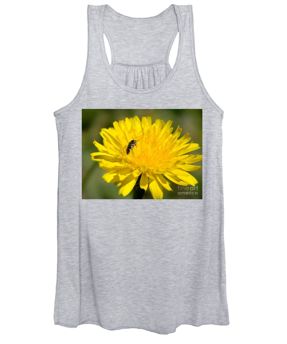 Dandelion Women's Tank Top featuring the photograph Little visitor by Andrea Anderegg