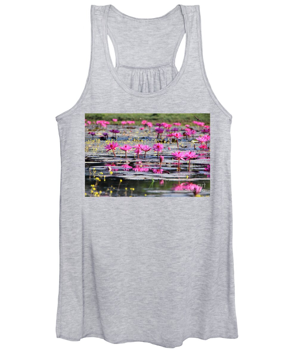Aquatic Women's Tank Top featuring the photograph Lotus flowers by Amanda Mohler