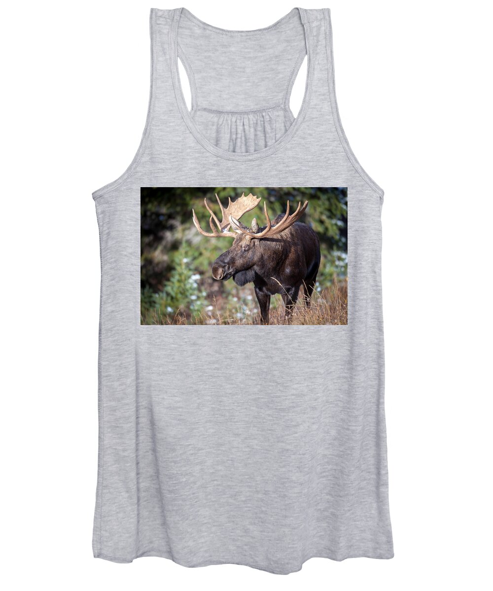 Wildlife Women's Tank Top featuring the photograph Mission by Kevin Dietrich