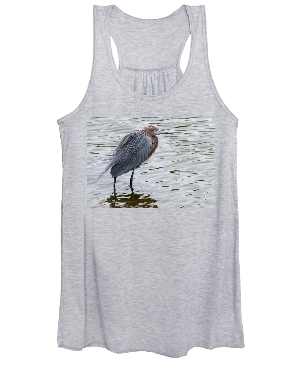 Texas Women's Tank Top featuring the photograph On Alert by Carol Erikson