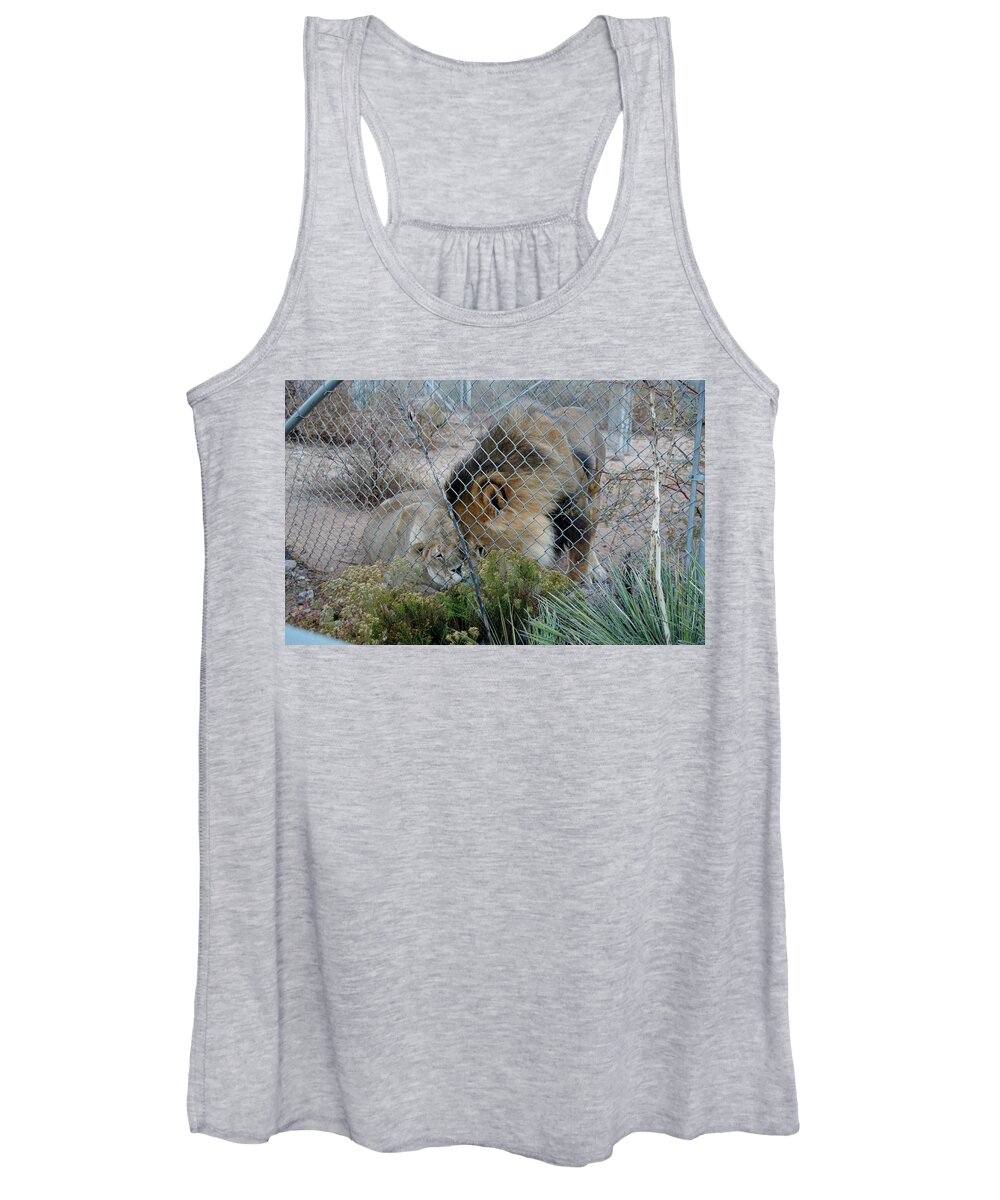 Out Of Africa Women's Tank Top featuring the photograph Out of Africa Lions 4 by Phyllis Spoor
