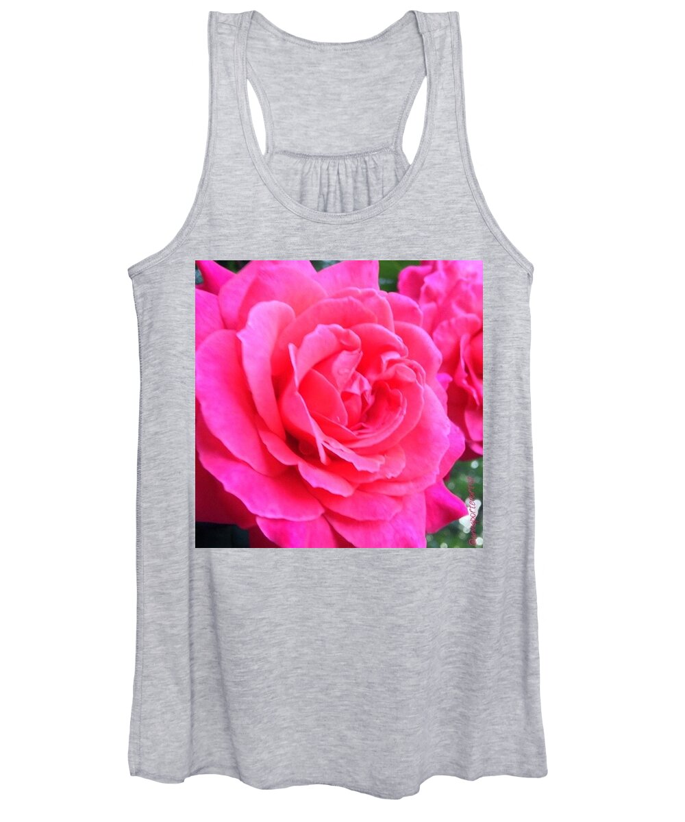 Annasgardens Women's Tank Top featuring the photograph Red Romance, Jackson & Perkins Lady by Anna Porter