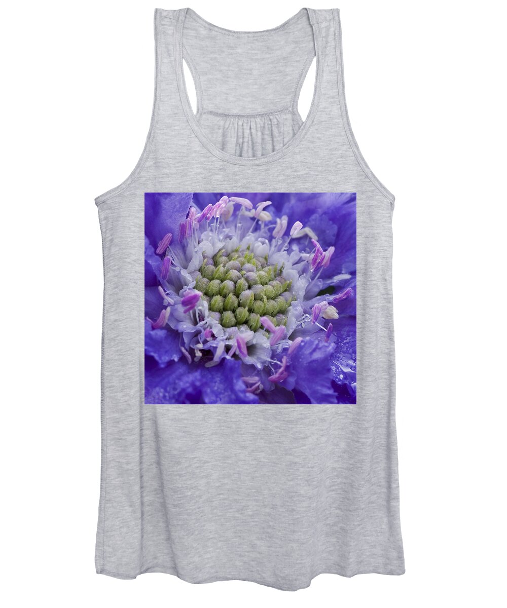Scabiosa Print Women's Tank Top featuring the photograph Scabiosa by Diane Fifield