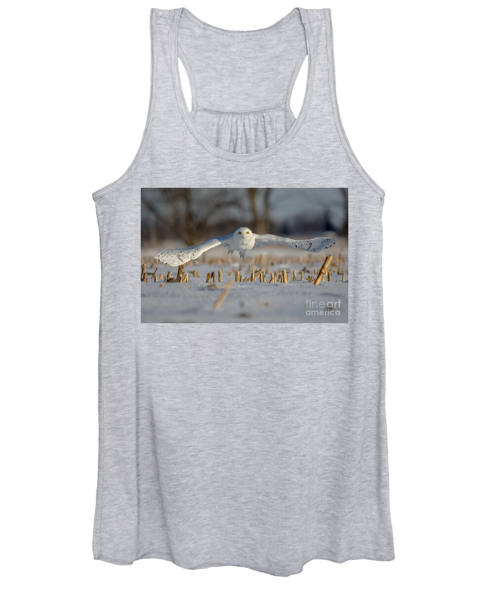 Field Women's Tank Top featuring the photograph Snowy Owl Wingspan by Cheryl Baxter