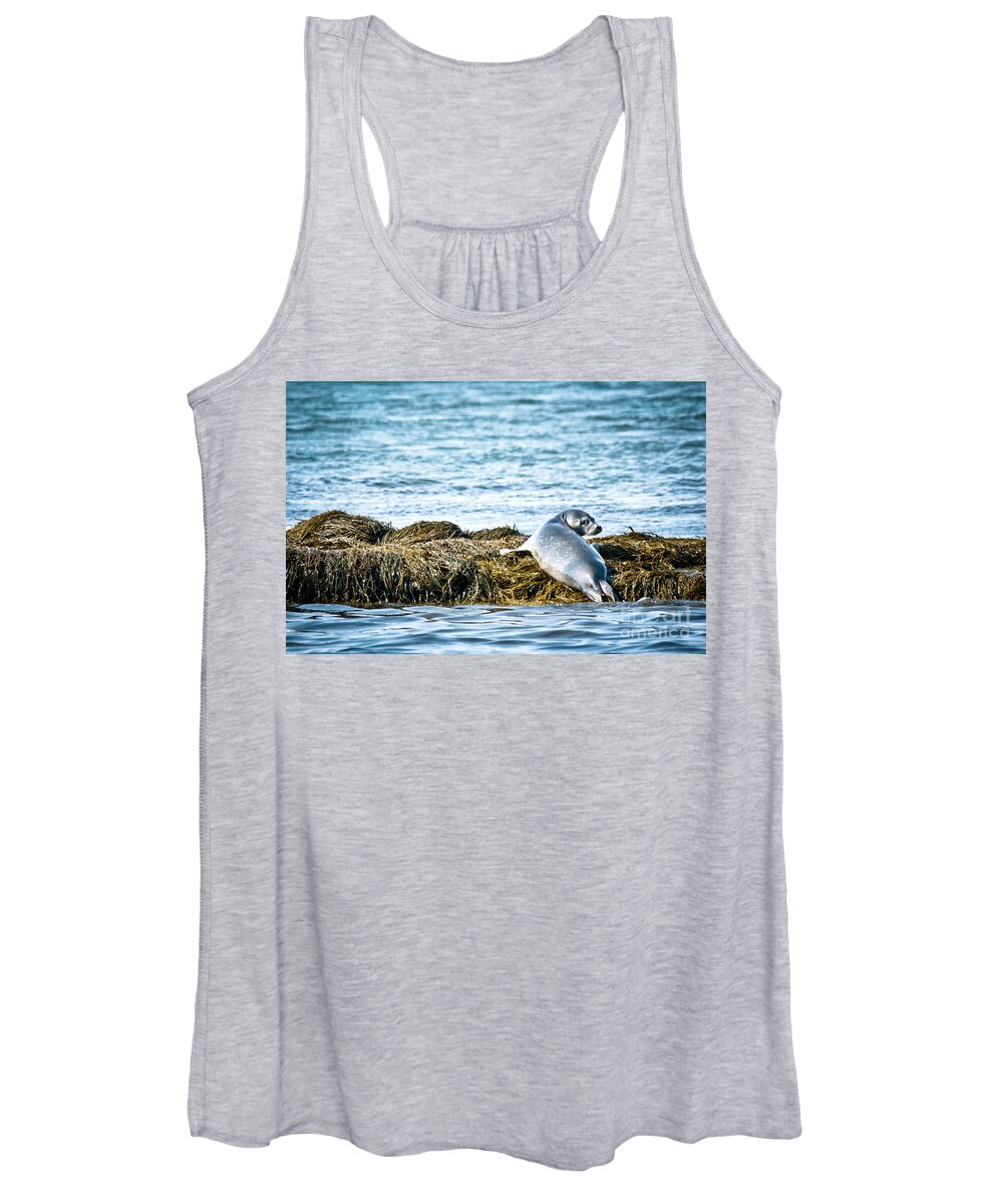  Women's Tank Top featuring the photograph Sweet Seal by Cheryl Baxter